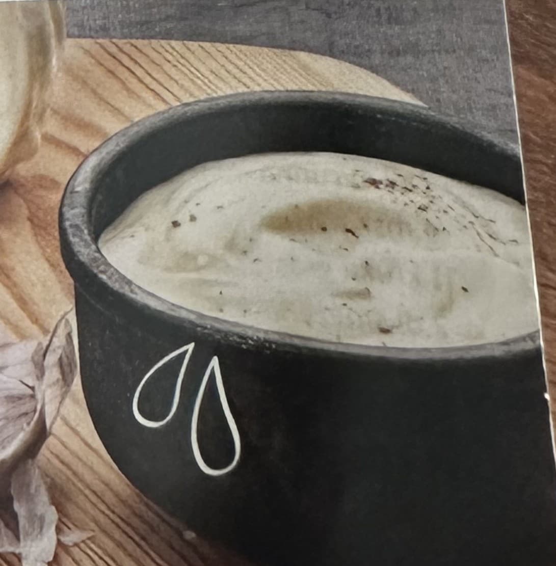 Snabb aioli